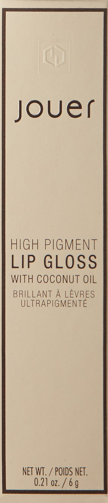 Jouer High Pigment Lip Gloss ACE