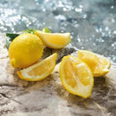 Dolce & Gabbana Light Blue Pour Homme, Eau De Toilette Spray, Fragrance For Men Infinity Warehouse