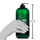 Botanic Hearth Tea Tree Shampoo, Vitamin C, Peppermint, Lavender and Rosemary Oil, Fights Dandruff and Dry Scalp, 16 fl oz Botanic Hearth