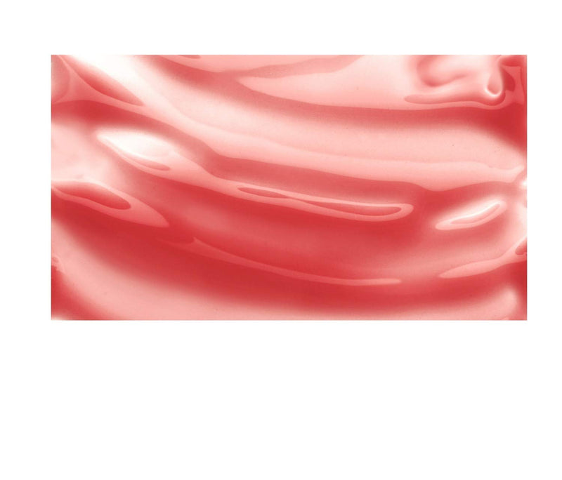 Burt's Bees 100% Natural Moisturizing Lip Shine, Pucker - 1 Tube, 0.5 Ounce Burt's Bees