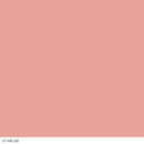 COVERGIRL Cheekers Powder Blush, Brick Rose, 0.12 Fl Oz, 2 Count COVERGIRL