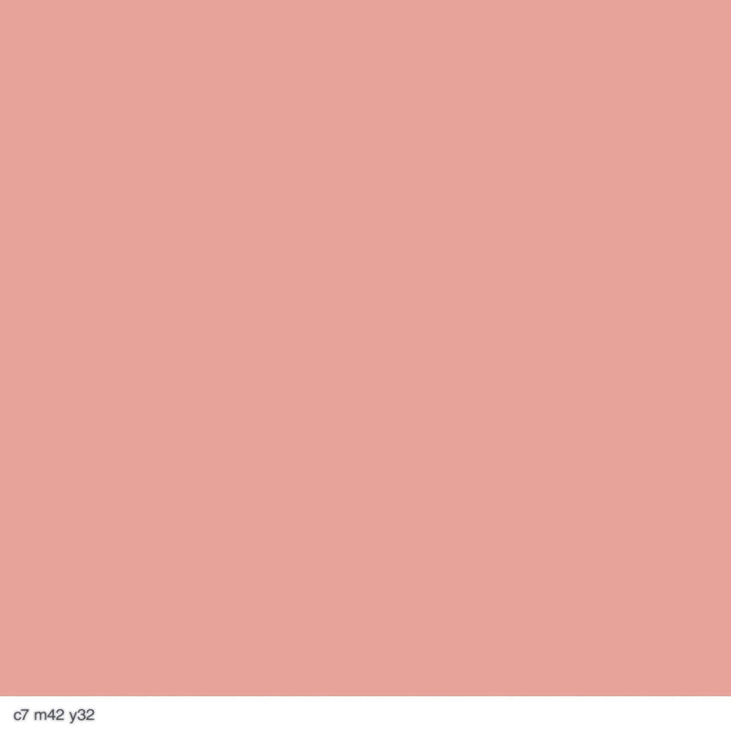 COVERGIRL Cheekers Powder Blush, Brick Rose, 0.12 Fl Oz, 2 Count COVERGIRL