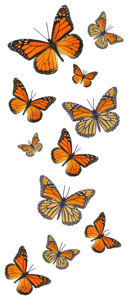55 Monarch Butterfly Temporary Tattoos Butterfly Utopia