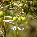 FARMSKIN Superfood for Hair Care Hair Anti-Frizz Treatment Mask Cap Ultra Nourishing Olive Set (Pack of 3), 4.23 Fl Oz FARMSKIN Store