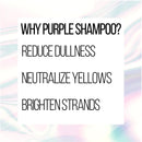 Pantene Silver Expressions Brightening Purple Shampoo, for Gray/Silver Dyed and Color Treated Hair, with Biotin and Vitamin E, 9.6 Fl Oz Pantene Store