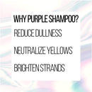 Pantene Silver Expressions Brightening Purple Shampoo, for Gray/Silver Dyed and Color Treated Hair, with Biotin and Vitamin E, 9.6 Fl Oz Pantene