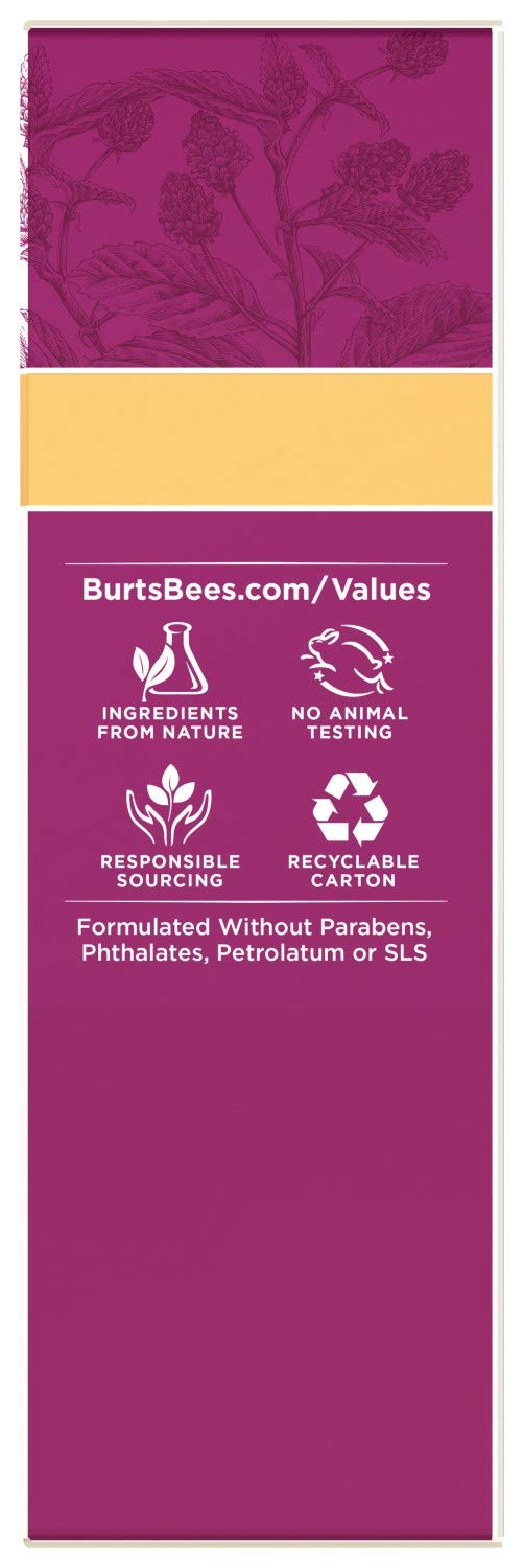 Face Lotion, Burt's Bees Retinol Alternative Facial Moisturizer, Anti-Aging Sunscreen with SPF 30, Firming Day Skin Care, 1.8 Ounce (Packaging May Vary) Burt's Bees