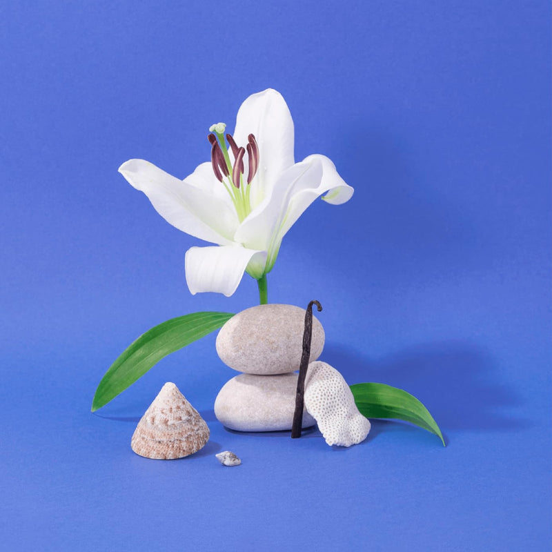 Compagnie de Provence Savon de Marseille Extra Pure Liquid Soap - Mediterranean Sea - 16.7 Fl Oz Glass Pump Bottle Infinity Warehouse