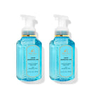 Bath and Body Works Gentle & Clean Foaming Hand Soap 8.75 Ounce 2-Pack (Crisp Morning Air) Infinity Warehouse