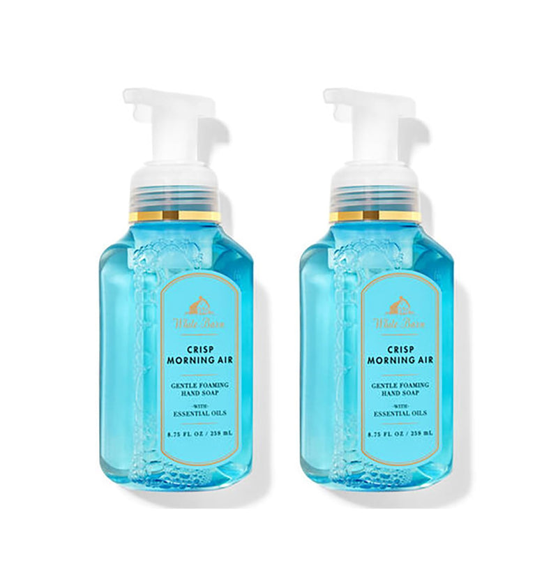 Bath and Body Works Gentle & Clean Foaming Hand Soap 8.75 Ounce 2-Pack (Crisp Morning Air) Infinity Warehouse