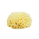 Neptune Natural Sea Wool Sponge - All Natural Honeycomb Renewable Sea Sponge, X -Large, Approx. 6 Inches Neptune Natural
