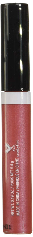 Wet n Wild MegaSlicks Lip Gloss Green Rasp-berry Voice 10- Rasp-berry Voice 0.6 Ounce wet n wild