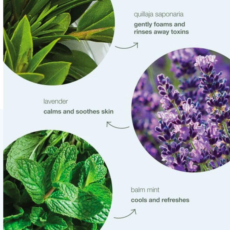 AquaBio Organic Hydrating Toner with Rose Water & Aloe Vera, Moisturizing Toner for Dry Skin, Vegan & Alcohol-Free, Calming & Nourishing, Gentle & Balancing, Purifying & Brightening Formula 6.75 Oz Infinity Warehouse