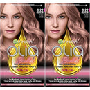 Garnier Olia Bold Oil Powered Permanent Hair Color, 8.22 Medium Rose, (Packaging May Vary), 2 Pack Garnier
