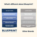 Blueprint by Bryan Johnson Vegan Protein Meal Replacement – Plant Based Hemp Protein with 27g Protein Per Serving – Low Calorie, Chai Flavored Protein for Women & Men – Dairy Free– 15 Servings Infinity Warehouse