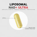 Codeage Liposomal NAD+ with Resveratrol & Vitamin B - NAD Plus Ultra for Energy & Healthy Aging Support - NAD Vitamin Supplement with Quercetin, Betaine, Riboflavin - Bioavailable - 90 Capsules Infinity Warehouse