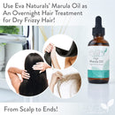 Organic Marula Oil for Face and Hair, 100% Virgin Moisturizing Beauty Oil - Cold Pressed, Natural Anti-Aging Formula - Non-greasy, Unrefined, Rich in Omegas & Antioxidants - 2oz. Eva Naturals