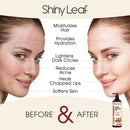 Organic Sweet Almond Oil for Hair and Skin, 100% Pure and Cold-Pressed, Hexane-Free, Lightweight, Non-Greasy Skin Moisturizer, Nourishing Massage Oil, Effective Carrier Oil by Shiny Leaf 16 fl. oz. Shiny Leaf Store