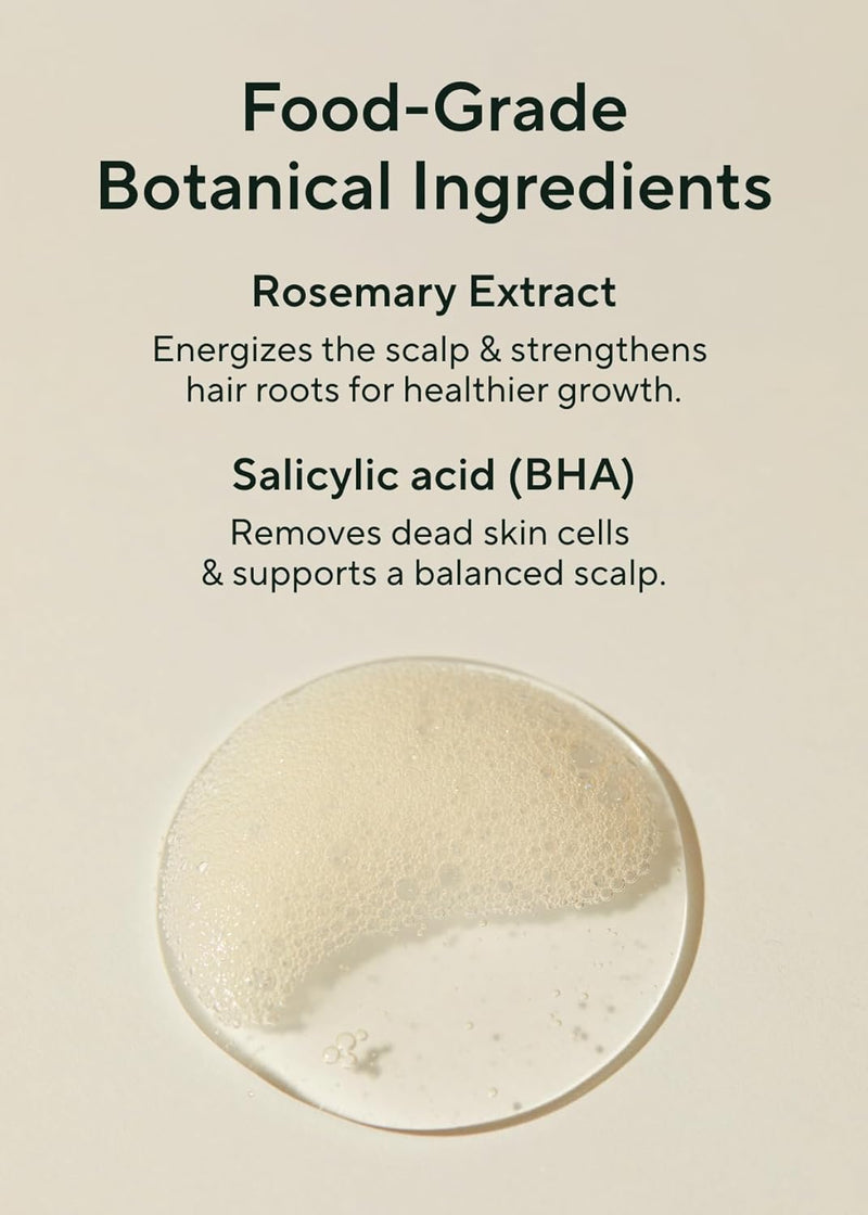 AROMATICA Rosemary Scalp Scaling Shampoo - Korean hair care with Thinning Hair Loss Natural Rosemary Essential oil for Women - Vegan Hair Growth - Free from Sulfate, Silicone, and Paraben (13.53 oz) Infinity Warehouse