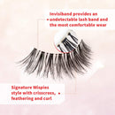Ardell Wispies 113 Black, 5 Pairs x 2 Pack Ardell