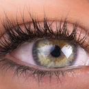 Organys Lash & Brow Booster Serum Gives You Longer Fuller Thicker Looking Eyelashes & Eyebrows. Bestselling Conditioner Stimulates The Appearance Of Growth & Regrowth. Natural Eye Lash Oil Free Enhancer Organys