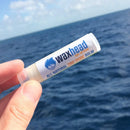 Waxhead Lip Sunscreen - Zinc Oxide Lip Balm Sunscreen for Lips, Lip Therapy, Lip SPF, Lanolin Lip Balm, Shea Butter Lip Balm, Sunscreen Lip Balm, Organic Lip Balm (4 pack, Mint) Waxhead Sun Defense Foods