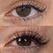 LiLash Purified Eyelash Physician-Formulated Serum for Fuller & Longer Looking Eyelashes | Natural Eyelash Enhancer Safe for Sensitive Eyes & Contact Lens Wearers | 90-Day Supply (2mL) LiLash