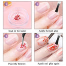 Aufisi Dried Flowers Nail Art - 1 Box Mini Real Natural Pressed Dry Flowers, 12 Colors Dry Flowers Nail Art Decoration Supplies, 3D Applique DIY Nail Decoration Sticker (Japanese Dried Flowers) Aufisi