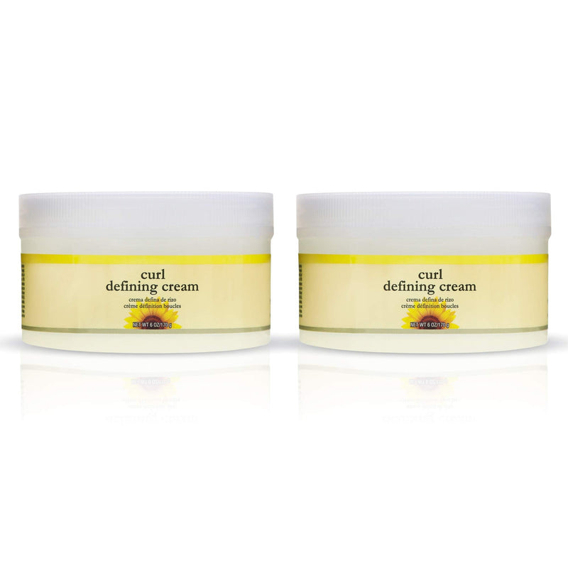 Jane Carter Solution Curl Defining Cream (6oz) - Reduce Frizz, Nourish, Lightweight (Pack of 2) Jane Carter Solution