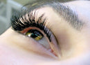 Eyelash Extension Glue Sky S+ / Extra Powerful Strong Black Adhesive / 1-2 Sec Drying time/Retention - 7 Weeks/Professional Use Only Black Adhesive/Semi-Permanent Extensions/by Stacy Lash SKY glue