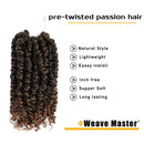 Ombre Pre-twisted Passion Twist Hair 10inch 7 Pack Pre-looped Passion Twist Crochet Hair T30 Color 12 strands/pack Easy to Install Crochet Braids Weave Master Store