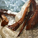 Dolce & Gabbana Light Blue, Eau De Toilette Spray, For Women Infinity Warehouse