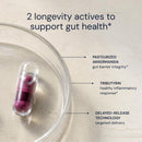 Blueprint by Bryan Johnson Essential Microbiome Capsules, Digestive & Gut Health Support for Women and Men, Delayed-Release 2-in-1 Postbiotic Daily Oral Microbiome Supplement for Healthy Digestion* Infinity Warehouse