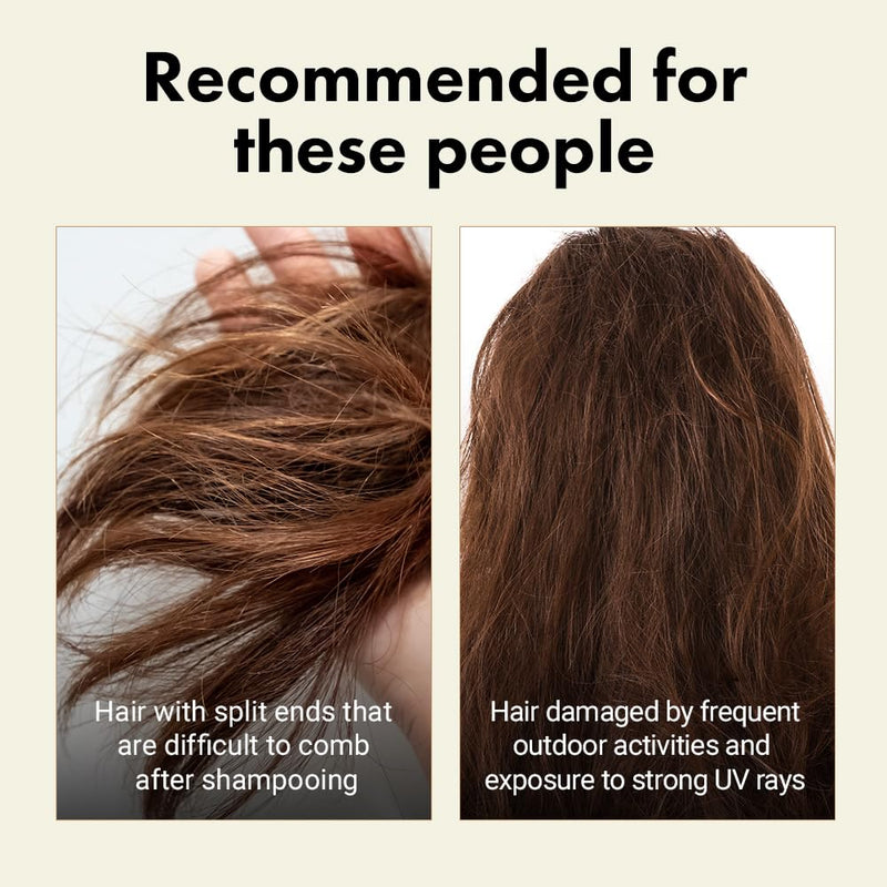 RATED GREEN Real Shea Cold Press Nourishing Shampoo w. Sunflower Seed Oil | Vitamin E | Deep Moisture & Soothing Care for Dry, Damaged Hair | Silicone-Free, Korean Vegan Formula | 13.52 fl oz Infinity Warehouse