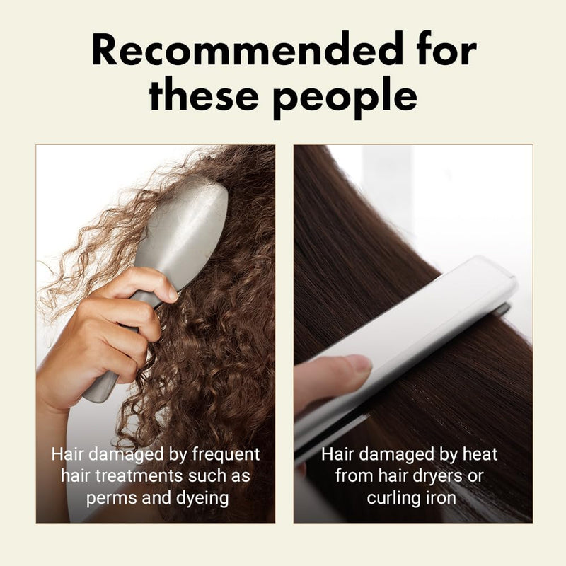 RATED GREEN Real Shea Cold Press Nourishing Shampoo w. Sunflower Seed Oil | Vitamin E | Deep Moisture & Soothing Care for Dry, Damaged Hair | Silicone-Free, Korean Vegan Formula | 13.52 fl oz Infinity Warehouse