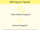 Organic Lion's Mane Mushroom Capsules, Freeze-Dried: 60 Count Infinity Warehouse