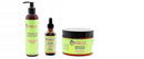 MIELLE ROSEMARY MINT COMBO (CREME&OIL&MASQUE) Mielle