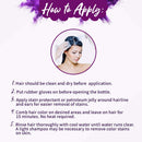 RAW Plum Demi-Permanent Hair Color, Vegan, Free from Ammonia, Paraben & PPD, lasts over 45 washes, 4oz (Plum) Ardell Store