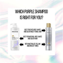 Pantene Silver Expressions, Purple Shampoo and Hair Toner, Pro-V for Grey and Color Treated Hair, Paraben Free, Lotus Flowers, 17.9 Fl Oz Pantene Store