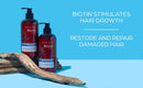 Brooklyn Botany Biotin Shampoo for Hair Growth and Volume – Anti Dandruff Shampoo - Volumizing and Nourishing Hair Thickening Shampoo for Hair Loss and Thinning Hair – For All Hair Types - 16 Oz Brooklyn Botany Store