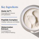 Borghese Crema Ristorativo-24 Moisturizer - Hydrating Face Moisturizer for Fine Lines & Wrinkles with Seaweed Extract & Vitamin E, Normal to Dry Skin Infinity Warehouse