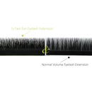 BEYELIAN Easy Fan Eyelash Extension Mega Volume Lash Extensions Light Black Self Fans Stylists Professional Salon Use Super Thin 20D 0.03 C Curl 17 &18mm BEYELIAN