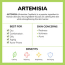 FaceTory Artemisia Balancing Light Facial Creme - Lightweight Hydrating Soothing Cream - For All Skin Types, 1.69 Fl. Oz FACETORY Store