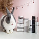 Kleem Pure Vitamin C Serum for Face for Women with Hyaluronic Acid & Vitamin E | Anti Aging Serum to Boost Collagen, Reduce Wrinkles, Acne, Dark Spots & Sun Damage | Made in USA | 1.7 Oz Infinity Warehouse