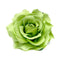 DRESHOW 5 Pack Flower Brooch Head Ornament Bride Women Rose Flower Hair Accessories Wedding Hair Clip Flamenco Dancer DRESHOW Store