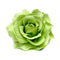 DRESHOW Rose Hair Clip Flower Hairpin Rose Brooch Floral Clips Bridal Headpiece Wedding Hair Accessories for Women DRESHOW