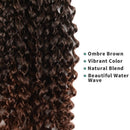 Passion Twist Hair - 18 Inch 2packs Ombre Brown Water Wave Crochet Braids Synthetic Braiding Hair Extensions (18 Inch (Pack of 2), T30)… Glinda