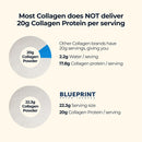 Blueprint Bryan Johnson Hydrolyzed Collagen Peptides Powder – Type I, II & III Collagen for Women & Men – Unflavored Protein Supplement for Hair, Skin, Nails, Joints & Cartilage – 20g – 30 Servings Infinity Warehouse