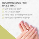 Nail Tek Nail Nutritionist, Keratin Enriched Nail Treatment Oil for Weak and Damaged Nails, 0.5 oz, 2-Pack Nail Tek Store