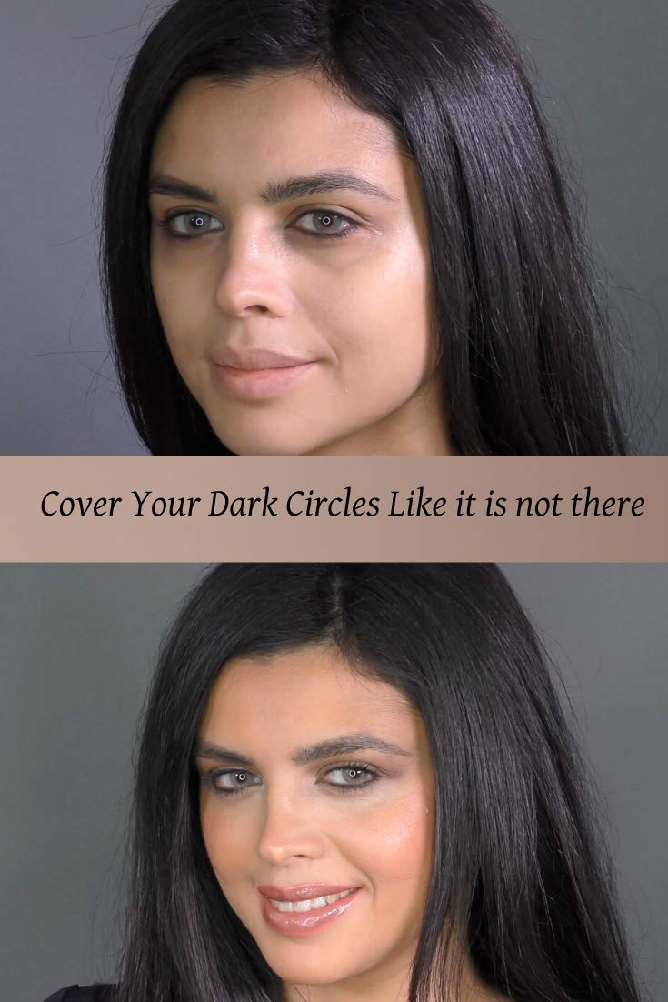 Ageless Derma Camoufleur Mineral Makeup Cream Under Eye Concealer Wheat. This Anti Aging Concealer has No Paraben and made in USA Ageless Derma